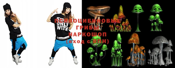соль ск Осташков